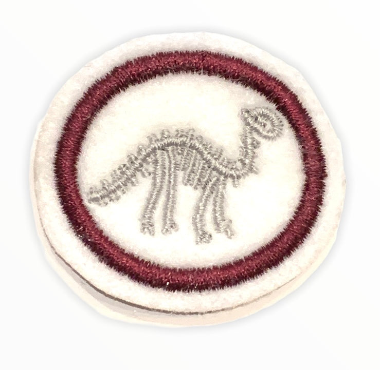 Fossil Pathfinder Honour BUC